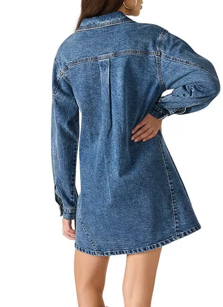 Edith Denim Dress