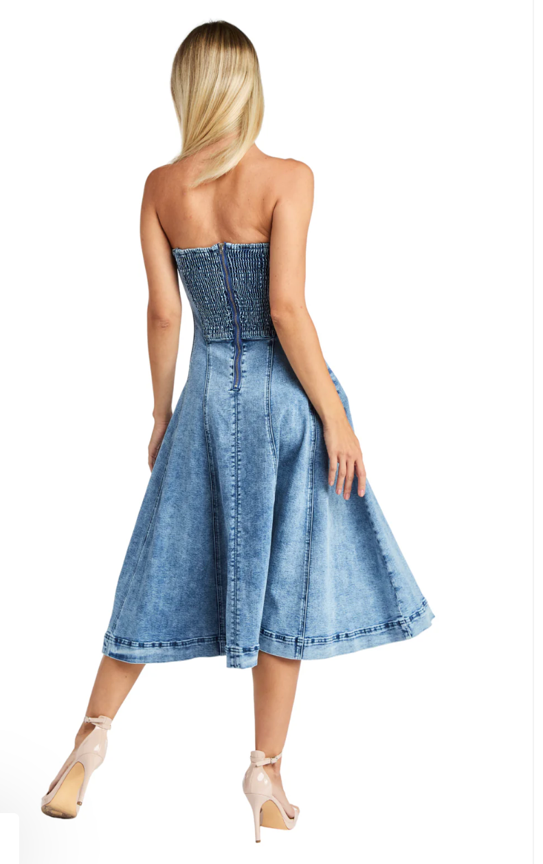 Tube Paneled Flounce Dress