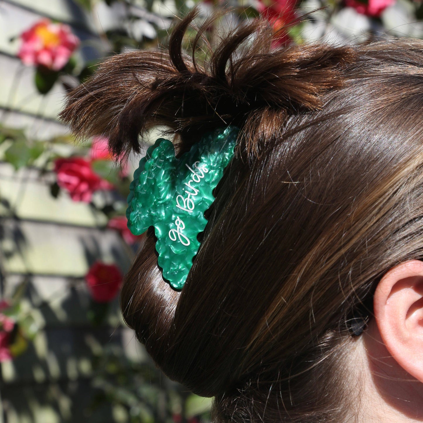 Go Birds Clip