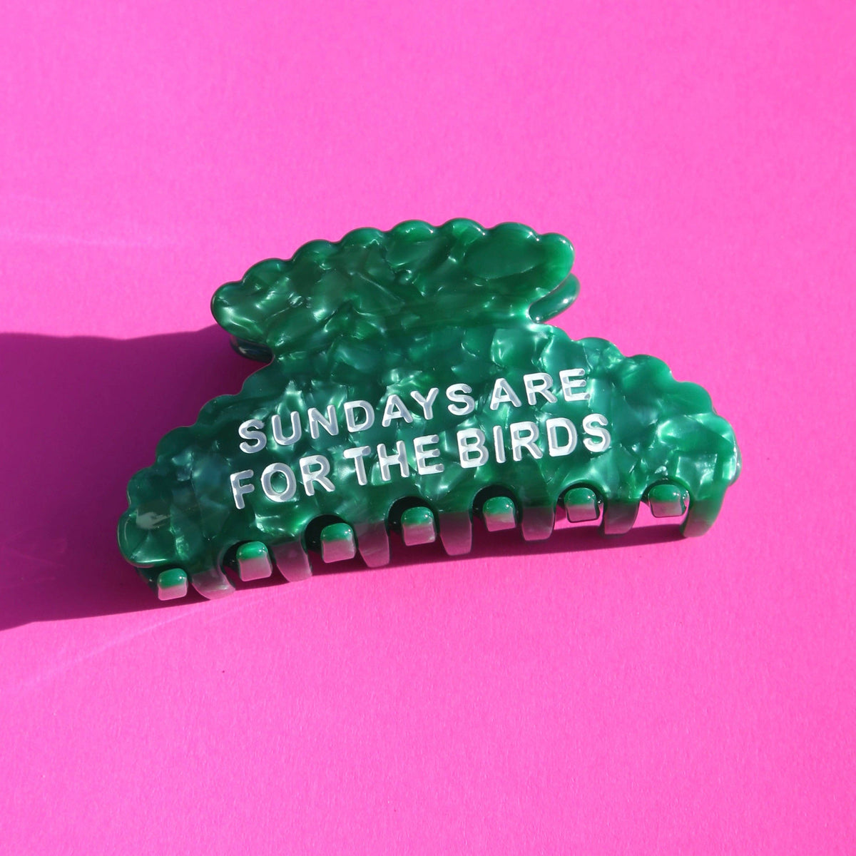 Sundays Are For The Birds Clip