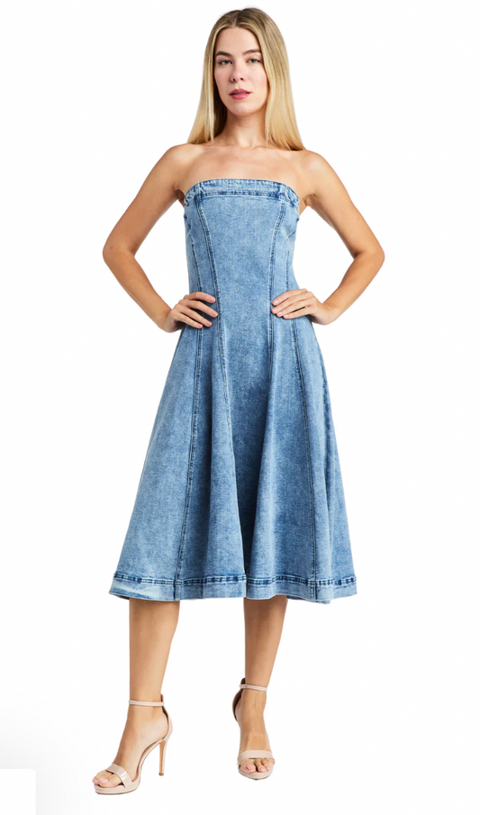 Tube Paneled Flounce Dress