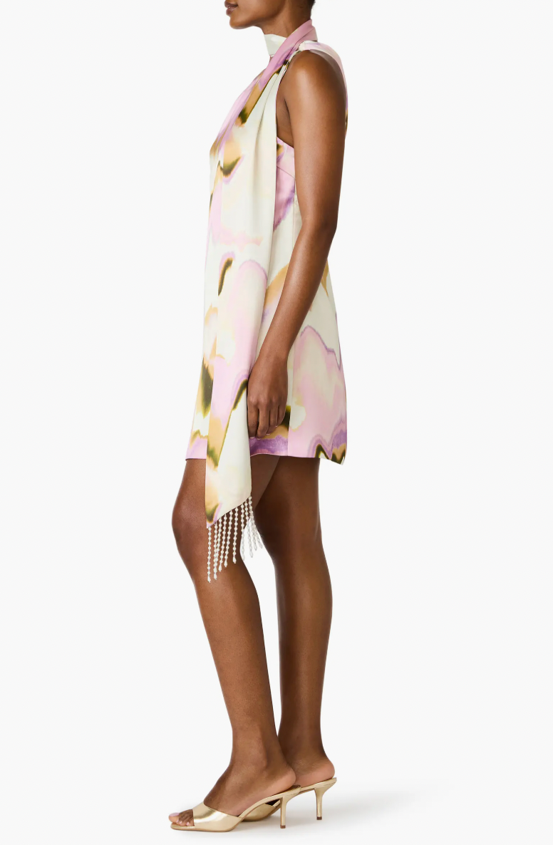 Charlie Mini Dress