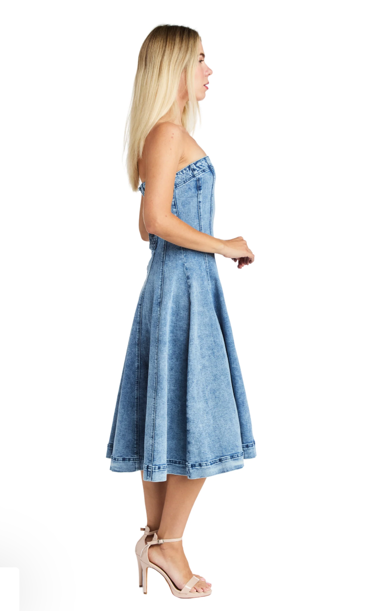 Tube Paneled Flounce Dress