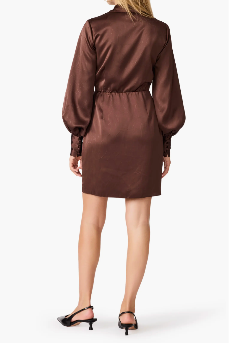 Ailani Dress