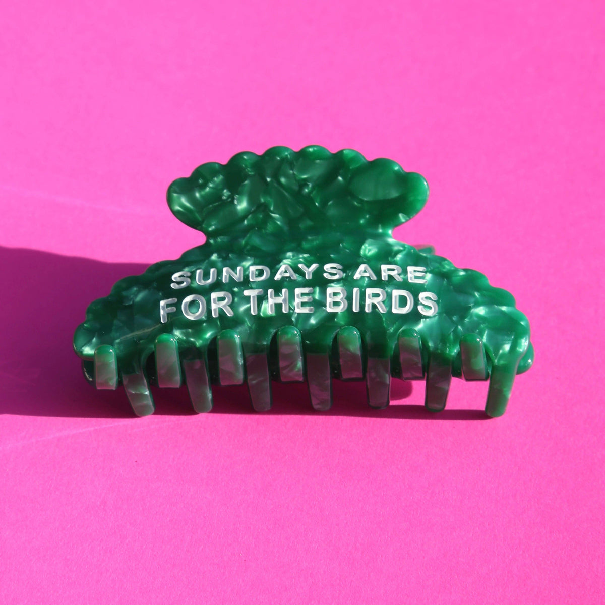 Sundays Are For The Birds Clip